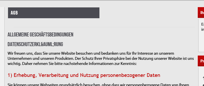 Ein Shop ohne AGB